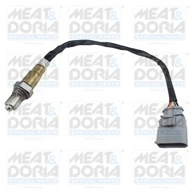 Oxygen Sensor
